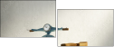 50981081