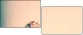 51013271