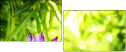 51188195
