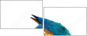 51755267