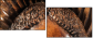 52004103
