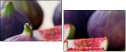 52014179