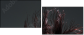 52116617