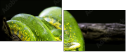 52158652
