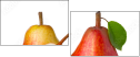 52170590
