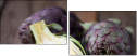 52349842