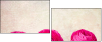 52805750
