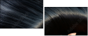 52931906