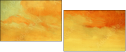 53049559