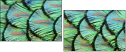 53512479