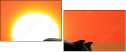 53692721