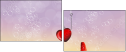 53719095