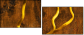 5382882