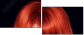 53895849