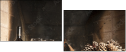 54029258