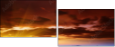 54860114
