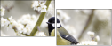 54886078