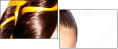 54891018