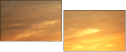 54974402
