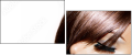 55081931