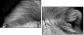 55206469