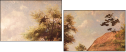 55361975