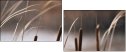 55661015
