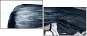 55810226