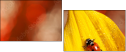 55820987