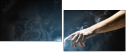 55886651