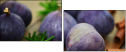 55956609