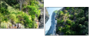 55960324