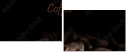 56198455