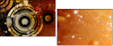 5648461