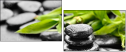 56688548