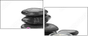 56689552