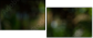 56795972