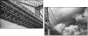 57021622