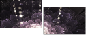 57185040