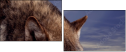 57250614