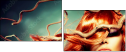 57362714