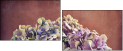 57545430