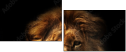 57644723