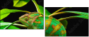 57907029