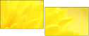 57915870