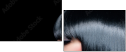57942078