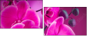 58002130