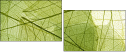 58647115