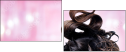 58689994