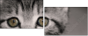 58977217